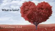 What is love?